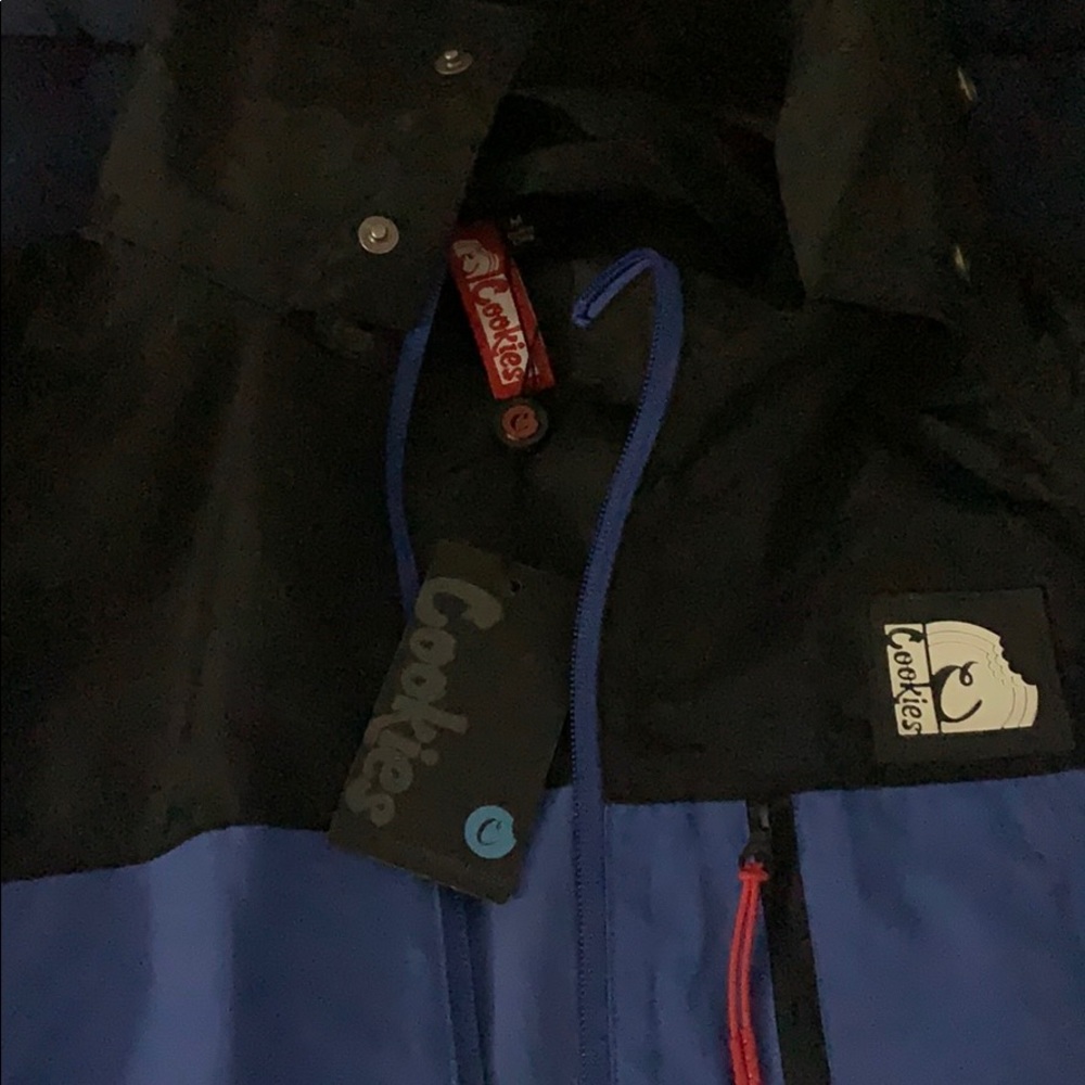 Jacket - Picture 5 of 5